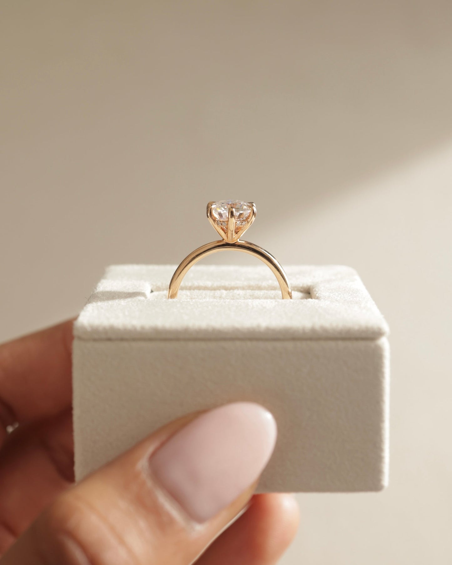 1.0 CT Round Brilliant Hidden Halo Moissanite Engagement Ring
