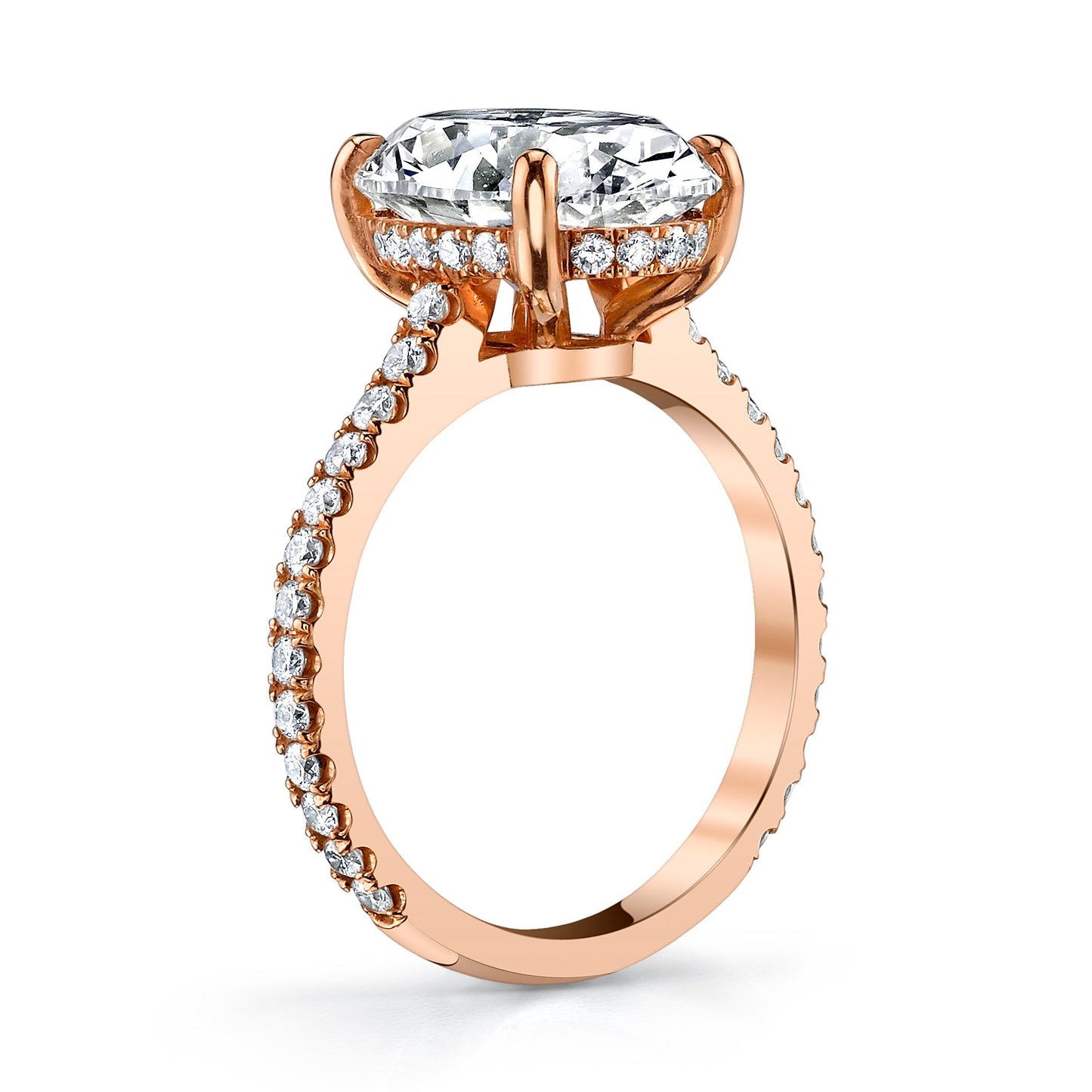 3.02ct Oval Cut Moissanite Hidden Halo Diamond Engagement Ring