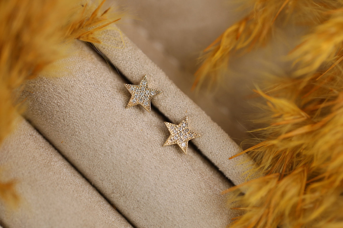 0.2CT Round Star Shaped Moissanite Diamond Stud Earrings In Solid Gold