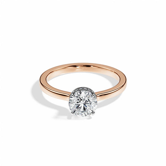 1.0 CT Round Cut Moissanite Hidden Halo Engagement Ring